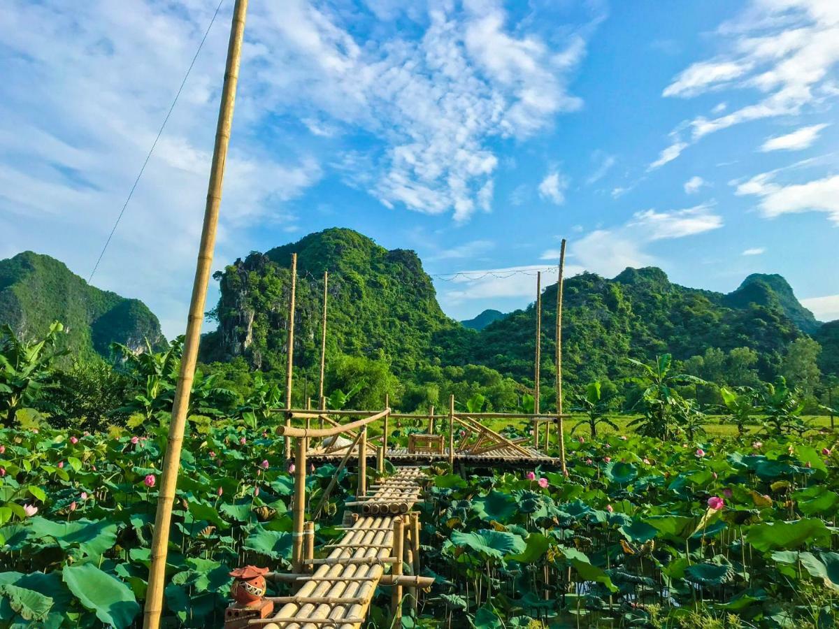 Green Mountain Homestay Ninh Binh Exterior foto